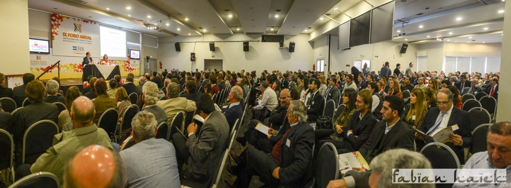 X Foro Anual «Institucionalidad, Competitividad y Desarrollo Sustentable»